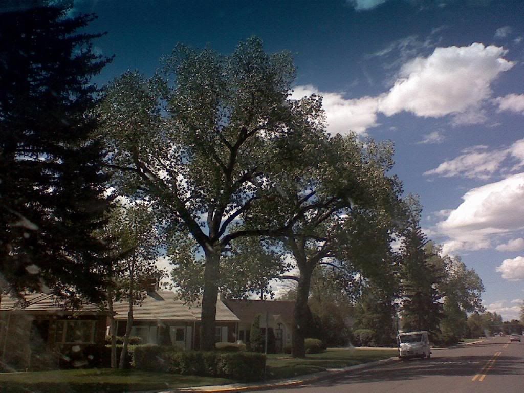 Official Wyoming Picture Thread (Cheyenne, Kaycee rent, bars, office